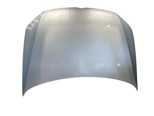 Used Hood VW POLO V (6R1, 6C1) 1.6 TDI (90 hp) 28491312