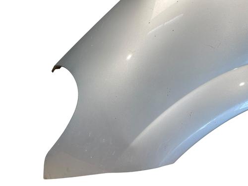 Left front fenders CITROËN C3 Pluriel (HB_) 1.4 HDi | BP25520022C41 