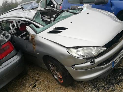 Servostyringspumpe PEUGEOT 206 Hatchback (2A/C) 1.4 i | BP25561157M99 