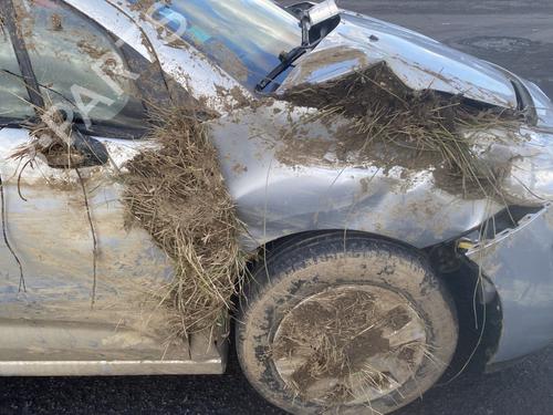 ABS pump CITROËN C3 II (SC_) 1.4 HDi 70 (SC8HZC, SC8HR0, SC8HP4) | BP26686448M43  - Image 14