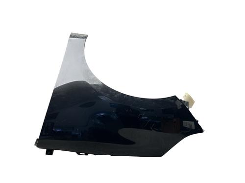 Used Left front fenders RENAULT SCÉNIC III (JZ0/1_) 1.5 dCi (110 hp) 25572418