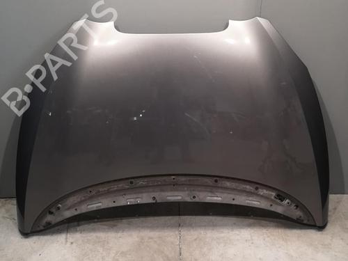 Used Hood SEAT TOLEDO III (5P2) 1.9 TDI (105 hp) 25532248
