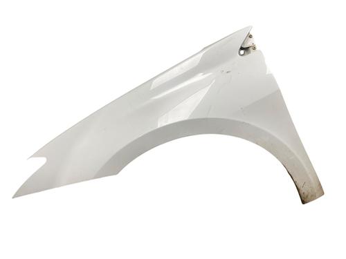Used Left front fenders RENAULT LAGUNA III (BT0/1) 2.0 dCi (BT07, BT0J, BT14, BT1A, BT1S) (131 hp) 25513067