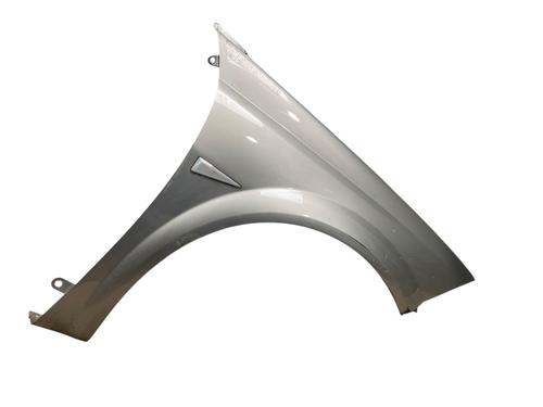 Used Right front fenders RENAULT MEGANE II Coupé-Cabriolet (EM0/1_) 2.0 dCi (150 hp) 25502803