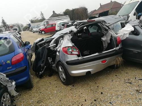 Servostyringspumpe PEUGEOT 206 Hatchback (2A/C) 1.4 i | BP25561157M99 