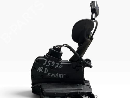 rear-right-lock-smart-forfour-hatchback-453-2014-31925201 main image