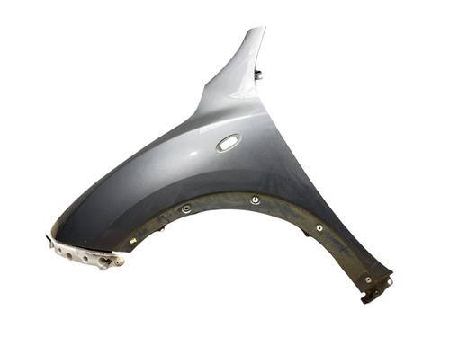 Used Left front fenders NISSAN JUKE (F15) 1.6 (117 hp) 25568123
