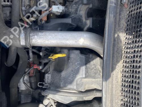 Right headlight RENAULT SCÉNIC II (JM0/1_) 1.5 dCi (JM1E, JM16) | BP25542946C29 