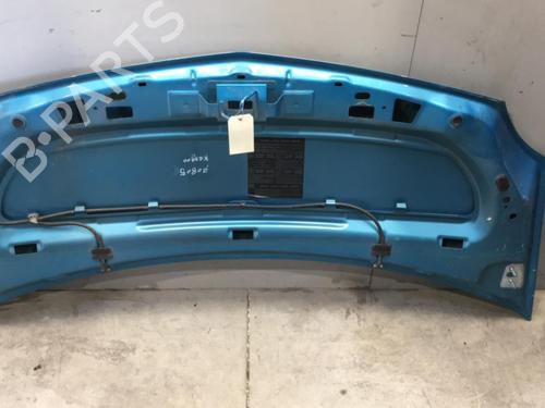 Hood RENAULT KANGOO / GRAND KANGOO II (KW0/1_) 1.5 dCi 90 (KW05, KW08, KW0G, KW11) | BP25541939C1