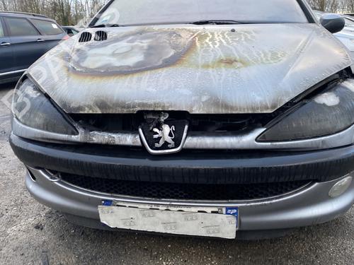 Tåkelys/Varsellys PEUGEOT 206 Hatchback (2A/C) 1.6 16V | BP25540811C37 
