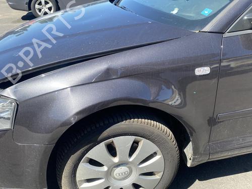 Right sun visor AUDI A3 (8P1) 1.9 TDI | BP25533096I2 - Image 31