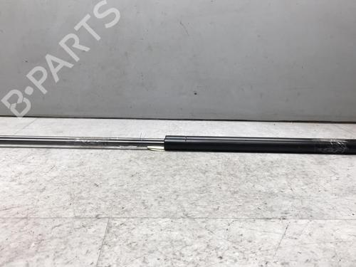 Used Tailgate lift support NISSAN JUKE (F15) 1.5 dCi (110 hp) 25575983