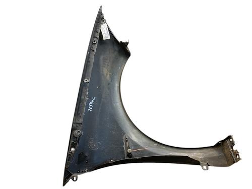 Left front fenders RENAULT MEGANE II (BM0/1_, CM0/1_) 2.0 16V Turbo | BP25529822C41 