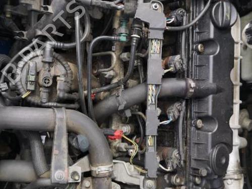 Left taillight PEUGEOT 206 SW (2E/K) 2.0 HDi | BP25524015C34  - Image 6