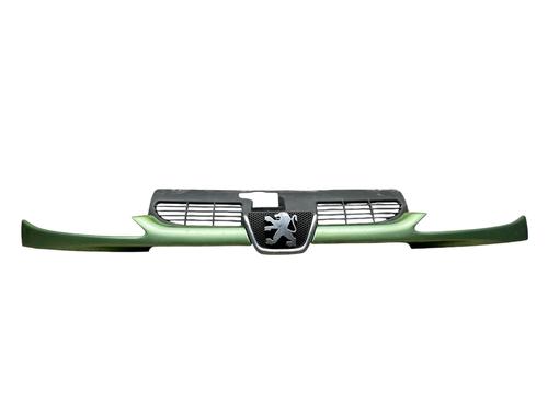 Used Grille PEUGEOT 206 CC (2D) 1.6 16V (2DNFUF, 2DNFUR) (109 hp) 25530312