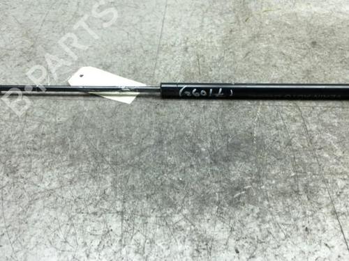 Tailgate lift support PEUGEOT 206 Hatchback (2A/C) 1.4 HDi eco 70 | BP25501613C138 