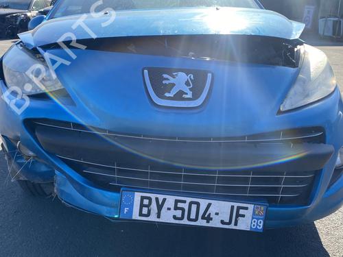 Display monitor PEUGEOT 207 (WA_, WC_) 1.4 HDi | BP25579874C48 