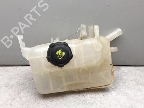 expansion-tank-renault-megane-iii-hatchback-bz01_-b3_-2008-25521091 main image