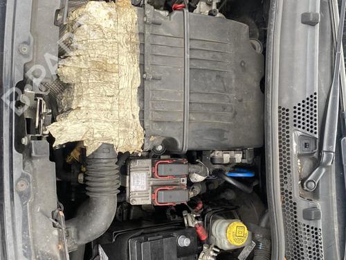 Alternator FIAT 500 (312_) 1.2 (312AXA1A) | BP25550712M7  - Image 17