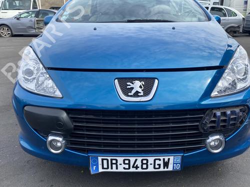 Headrest PEUGEOT 307 CC (3B) 2.0 16V | BP25576101I31 