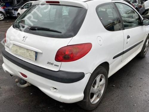 Tailgate lift support PEUGEOT 206 Hatchback (2A/C) 1.4 HDi eco 70 | BP25501613C138 