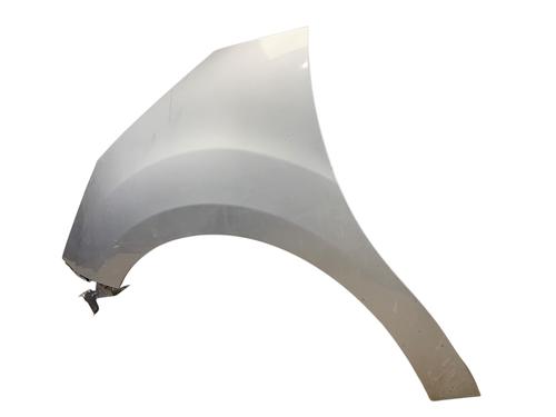 Left front fenders CITROËN C3 II (SC_) 1.4 HDi 70 (SC8HZC, SC8HR0, SC8HP4) | BP29527102C41 