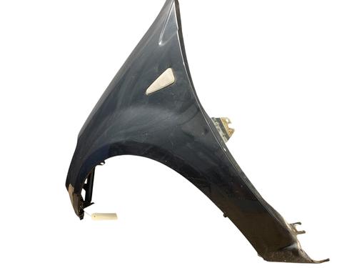 Left front fenders DACIA SANDERO 1.4 (BS0C, BS0A, BS0G, BS1F, BS0E) | BP28622276C41