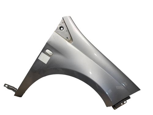 Used Right front fenders FIAT BRAVO II (198_) 1.6 D Multijet (198AXH1B) (105 hp) 25563608