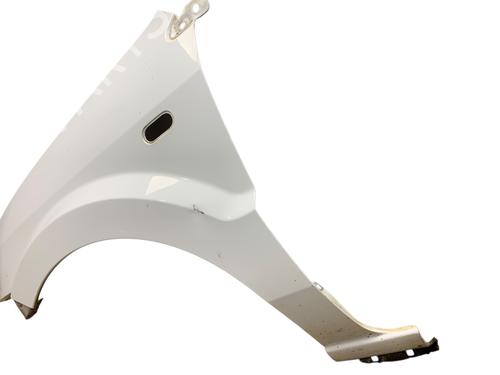 Left front fenders FORD FUSION (JU_) 1.4 TDCi | BP28201708C41 