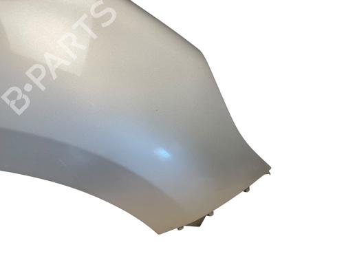 Right front fenders RENAULT SCÉNIC III (JZ0/1_) 1.5 dCi | BP28205572C42 