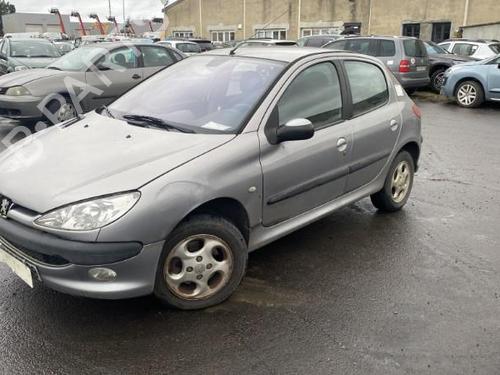 Tailgate PEUGEOT 206 Hatchback (2A/C) 2.0 HDI 90 | BP25501907C6 