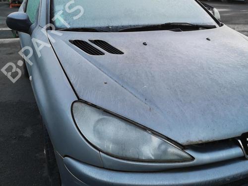 Right front fenders PEUGEOT 206 Hatchback (2A/C) 1.6 16V | BP28205574C42 