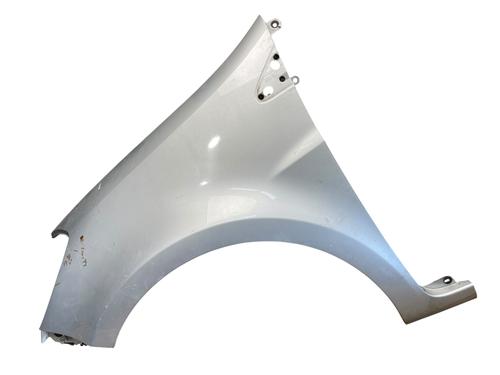 Left front fenders RENAULT CLIO III (BR0/1, CR0/1) 1.5 dCi 631014270R