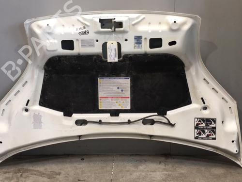 Used Hood PEUGEOT BIPPER Tepee 1.3 HDi 75 (75 hp) 25521693