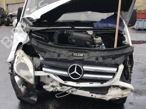 Left front door MERCEDES-BENZ SPRINTER 3-t Van (B906) 209 CDI (906.611, 906.613) | BP25541372C2 