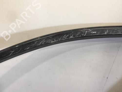 Left front door RENAULT KOLEOS I (HY_) 2.0 dCi 4x4 (HY0K) | BP25555967C2 