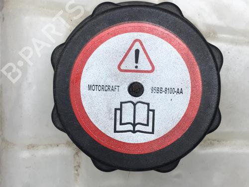 Ekspansjonstank FORD FIESTA IV (JA_, JB_) 1.25 i 16V | BP25521698C120 