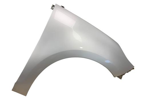Used Right front fenders RENAULT SCÉNIC III (JZ0/1_) 1.5 dCi (110 hp) 25546087