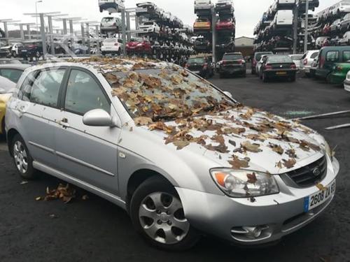 Climate control KIA CERATO I Hatchback (LD)  | BP25516499I5  - Image 13