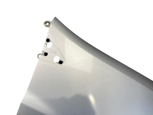 Right front fenders RENAULT CLIO III (BR0/1, CR0/1) 1.2 16V (BR02, BR0J, BR11, CR02, CR0J, CR11) | BP25518208C42 