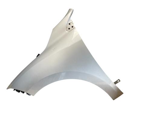 left-front-fenders-renault-megane-iii-hatchback-bz01_-b3_-2008-30698888 main image