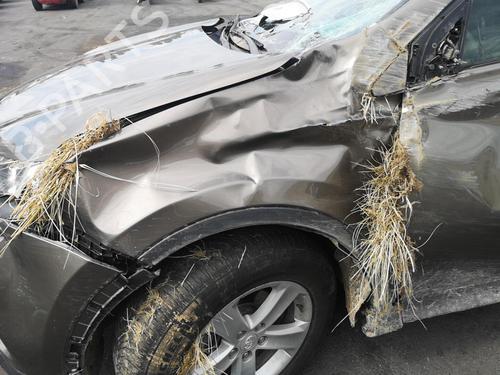 Left front window switch TOYOTA RAV 4 IV (_A4_) 2.0 D (ALA40_, ALA40R) | BP26040277I27 - Image 14