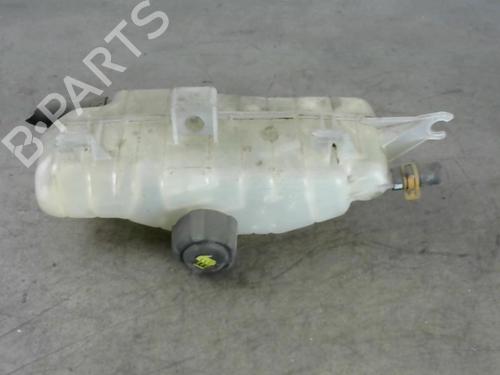 Used Expansion tank RENAULT CLIO III (BR0/1, CR0/1) 1.5 dCi (C/BR0G, C/BR1G) (68 hp) 25583698