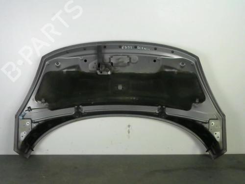 Used Hood Hood RENAULT SCÉNIC III (JZ0/1_) 1.5 dCi (110 hp) 25579261 25579261