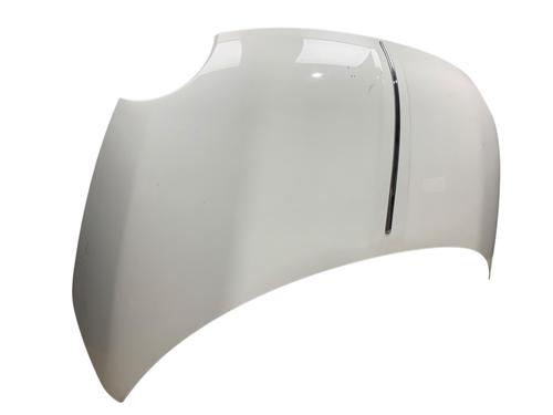 Hood FIAT 500 (312_) 1.2 (312AXA1A) | BP25539827C1 