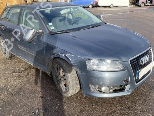 Front left interior door handle AUDI A3 Sportback (8PA) 1.6 TDI | BP25569495I13 