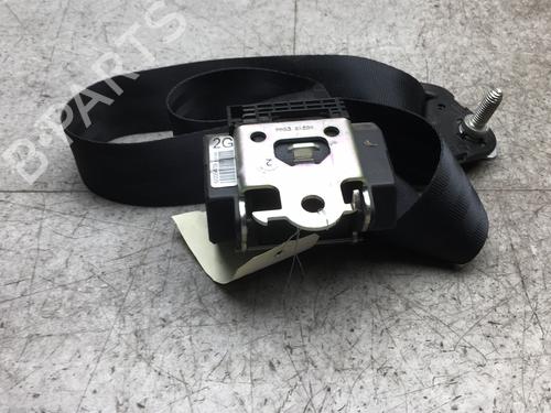 Used Rear left belt tensioner RENAULT KANGOO / GRAND KANGOO II (KW0/1_) 1.5 dCi 90 (KW05, KW08, KW0G, KW11) (90 hp) 25571536