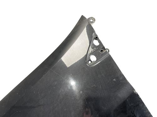 Left front fenders RENAULT CLIO III (BR0/1, CR0/1) 1.5 dCi (C/BR0G, C/BR1G) | BP27589048C41