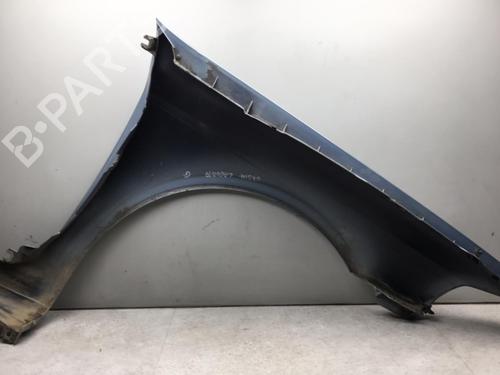 Left front fenders RENAULT LAGUNA II (BG0/1_) 1.9 dCi | BP25555597C41 