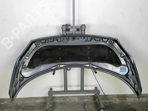 Panser RENAULT SCÉNIC II (JM0/1_) 1.9 dCi (JM0G, JM12, JM1G, JM2C) (120 hp) 25515920
